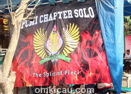 One Stop Pleci Festival