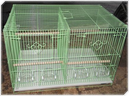 Kandang dengan sekat untuk penjodohan lovebird