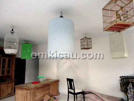 Tips pemasteran burung