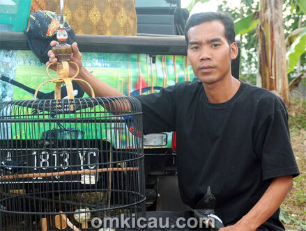 Mr P Jogja - kacer Sparta
