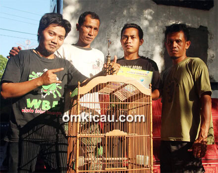 Anggo Kaos