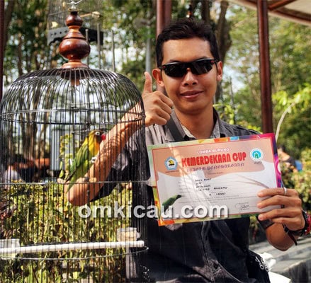 Arva Bird Solo