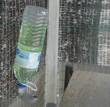 Drink feeder yang siap digunakan
