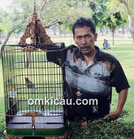 Ahim dan anis merah Pendekar Merapi