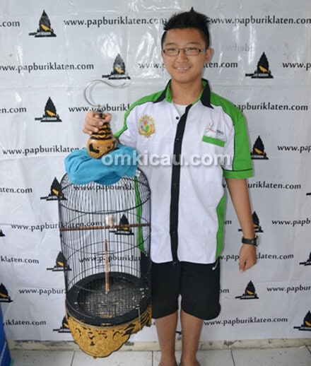 Lovebird Ilusen