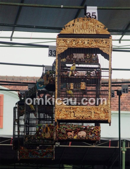 Sangkar INDONESIA