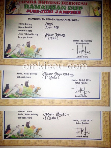 Sertifikat juara untuk kacer Senpi