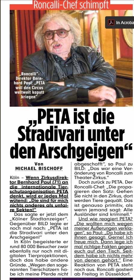 Screenshot: roncalli.de