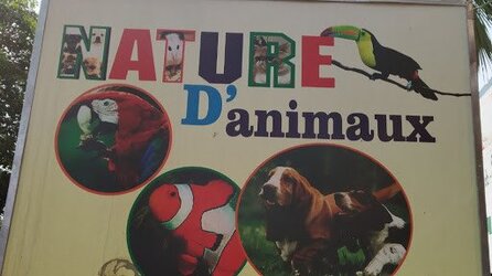 Nature D Animaux