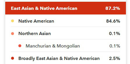 84% Native American DNA on 23andMe. Results also show .1% Northern Asian and 2.5% Broadly East Asian and Native American