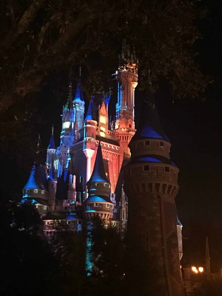 uadventure travel Walt Disney World - Cinderella Castle