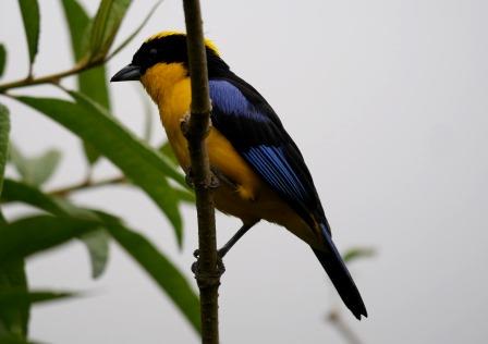 Best Ecuador Road Trip to Watch Mature