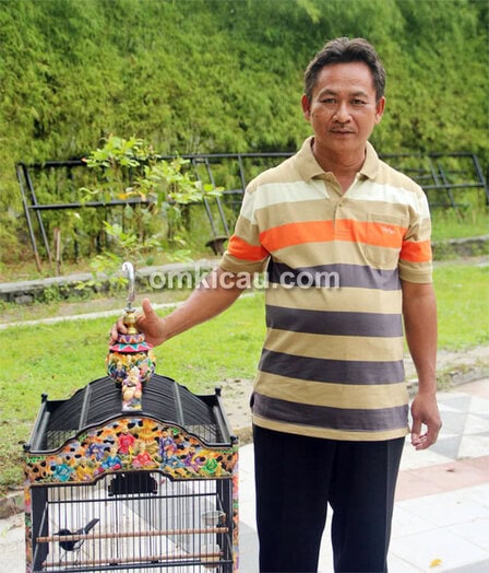 Om Gino dan kacer Yaris