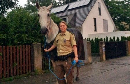 Pferd eingefangen