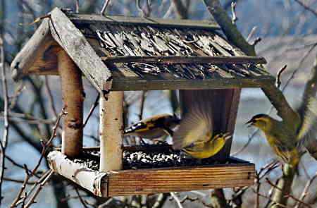 A Rustic Looking Bird Feeder Of Branches and Dried Grass A bird feeder made from branches and other tree materials.