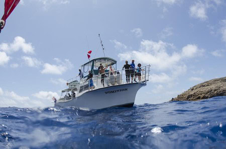 Scuba Diving Molokai (Steven W Smeltzer)
