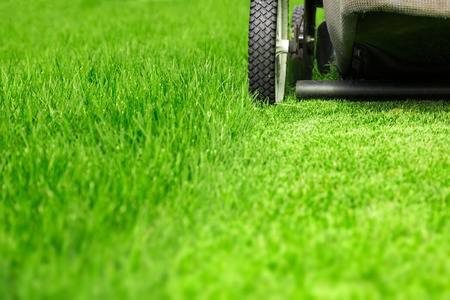 Lawn maintenance of lush, green grass being mowed