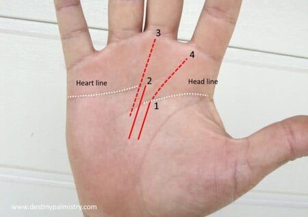 career fate line, best palm reader in the world, master palmist, carrer, carrier palms, fate line timing