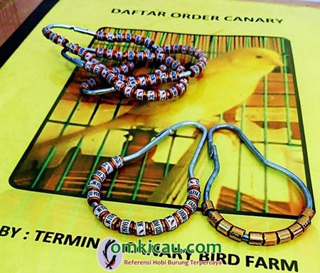Ring TC Bird Farm