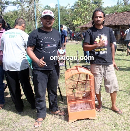 cucak ijo Suling Sakti