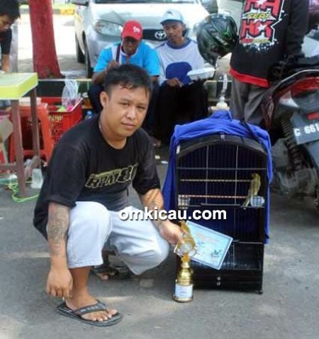 Om Bogel dan kenari Jatmiko