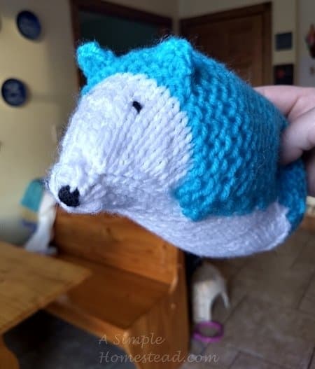 hedgie