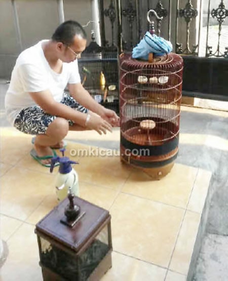 Perawatan branjangan Pengkor