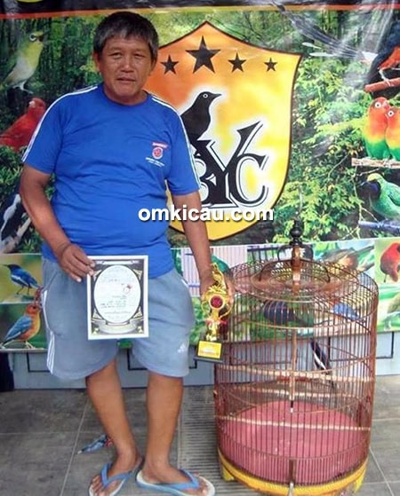 Om Alek MTH dan kacer Bajing Ireng.