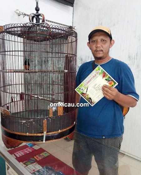 Om Rudi Suroto dan murai batu Lorenzo