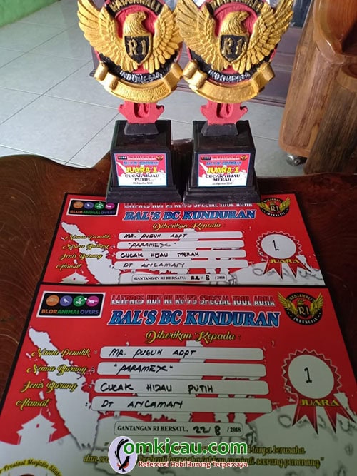 cucak ijo jawara