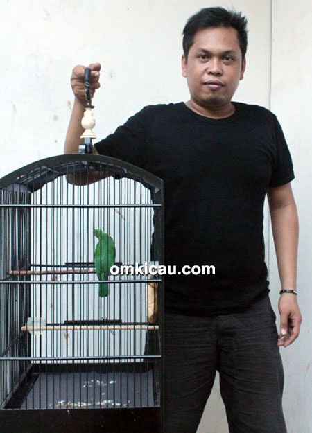 Om Ebah dan cucak hijau Sliwa