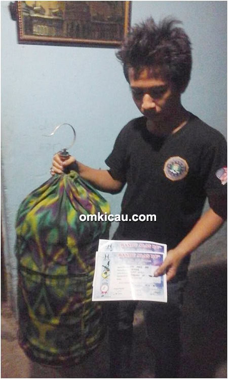 Om Abie BB dan lovebird Omar