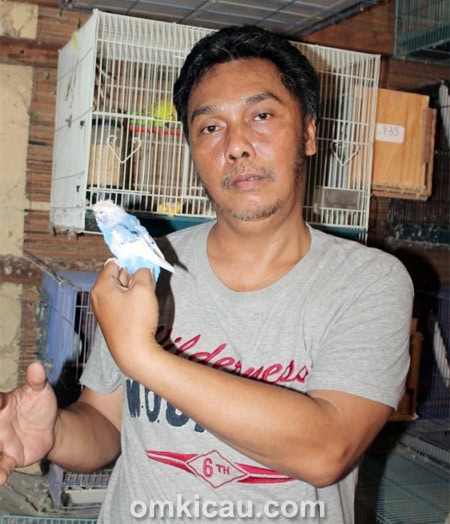 Rudy Pelung dan parkit jinak