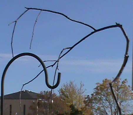 A place to perch is essential to attracting backyard birds. A tree branch that can be used as a bird perch.
