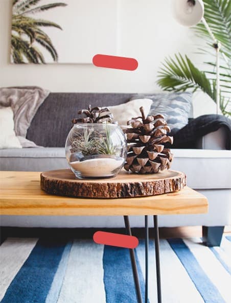 Pinecone display on table