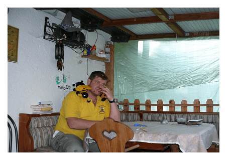 Wespen, Bienen, Hornissen