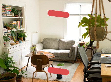 Cozy living room with hanging plants