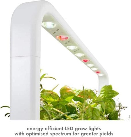 click an dgrow lights click and grow lights