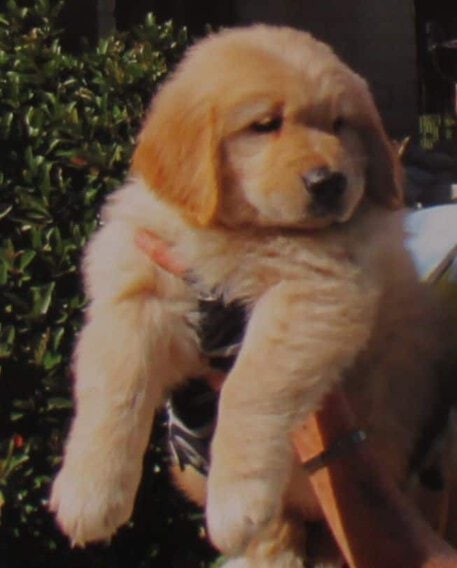 Apache's First Day Apache's First Day