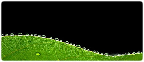 matthew_fang_2 Moisture in photographic equipment can cause fungus to grow