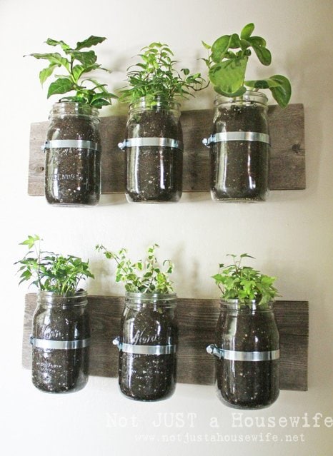 mason jar planter board 747x1024 Mason Jar Wall Planter
