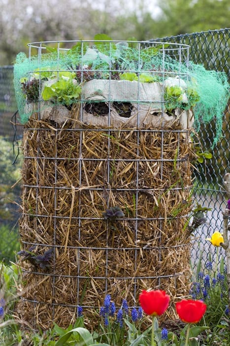 Einfache Bauanleitung für einen Kartoffelturm. Große Kartoffelernte auf wenig Raum. Ideal für kleine Gärten. Bequeme Ernte.
