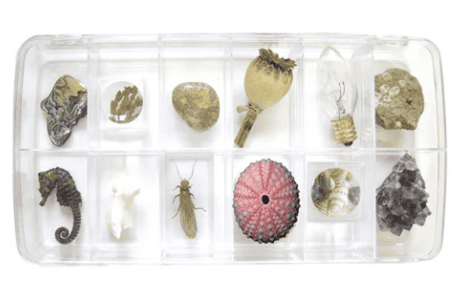 The Private Eye Asknature