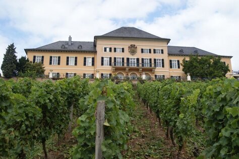 Blick auf Schloss Johannisberg Schloss Johannisberg