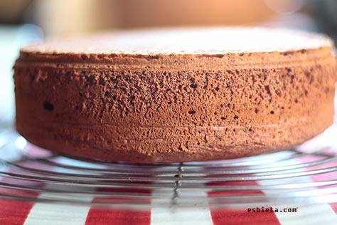 bizcocho sin levadura, bizcocho de chocolate