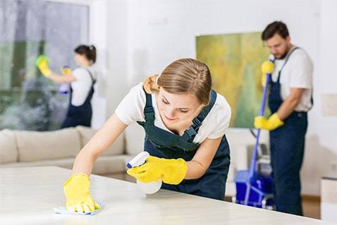 government office cleaning