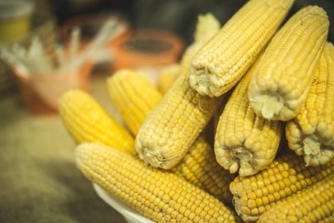 Corn cobbs