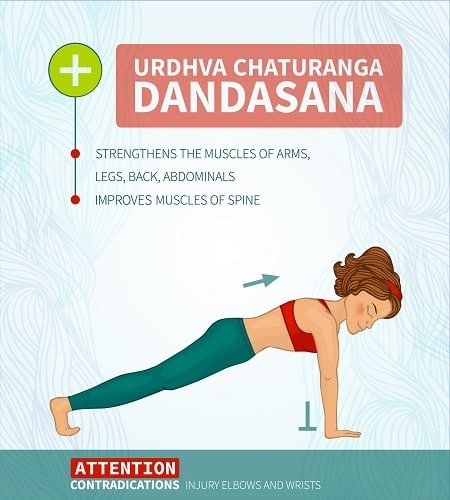 Urdhva Chaturanga Dandasana
