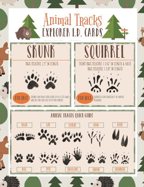 Animal Tracks Identification Chart