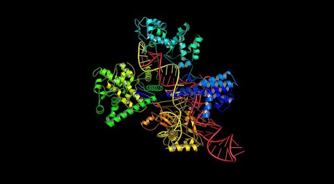 CRISPR-Cas9
